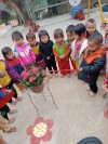 Hình ảnh trẻ đang quan sát cây hoa sống đời