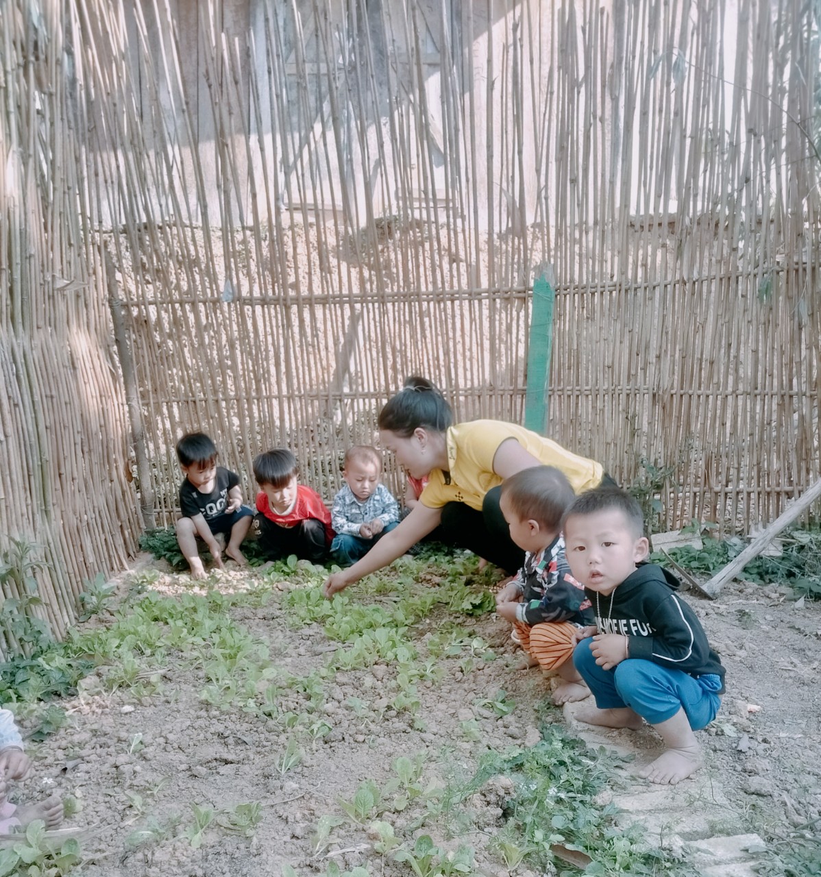 Hoạt động chăm sóc vườn rau của các bé lớp nhà trẻ số 2 bản Tà Té