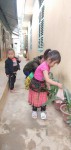 Hình ảnh cô và trẻ chăm sóc bồn hoa, cây cảnh