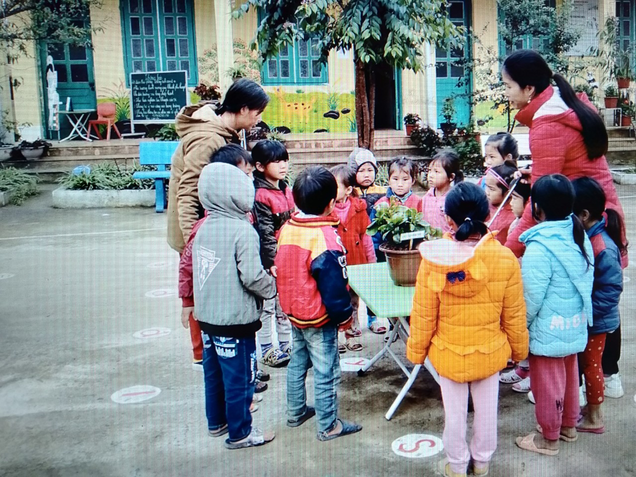 Vai trò của hoạt động chơi ngoài trời với sự phát triển của trẻ Mầm non